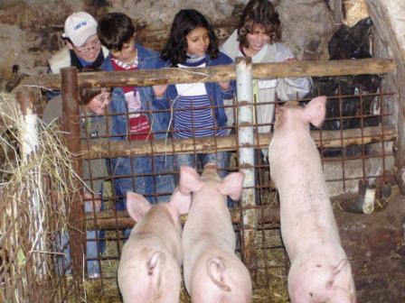Farma- škola 019.jpg